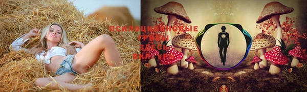 крисы Алексеевка