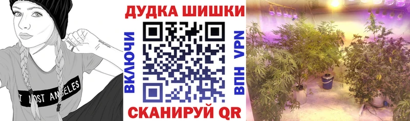 Шишки марихуана гибрид  Дмитриев 